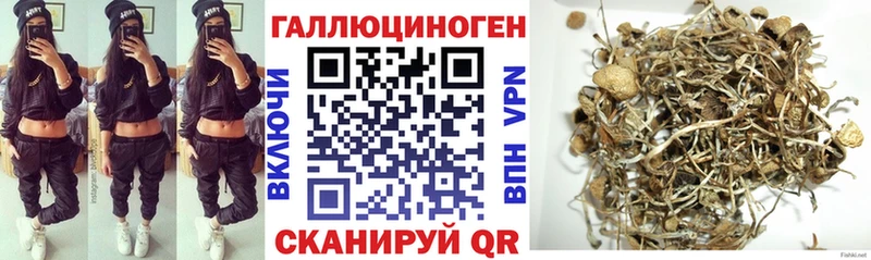 Псилоцибиновые грибы Psilocybine cubensis  где продают наркотики  Давлеканово 